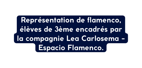 Représentation de flamenco élèves de 3ème encadrés par la compagnie Lea Carlosema Espacio Flamenco
