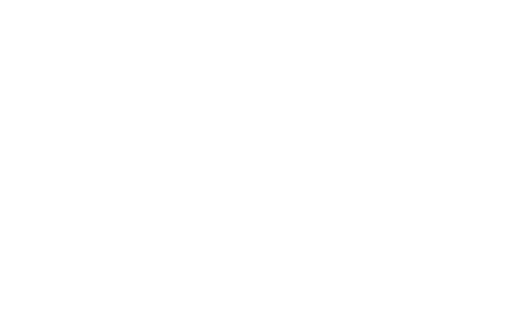Lecture